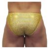 Akieistro® Men’s Professional Bodybuilding Posing Suit - Metallic Gold Hologram - Back View